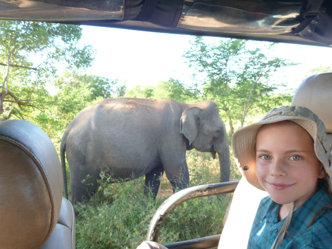 Mit Kindern auf Sri Lanka Tour: Jeepsafari