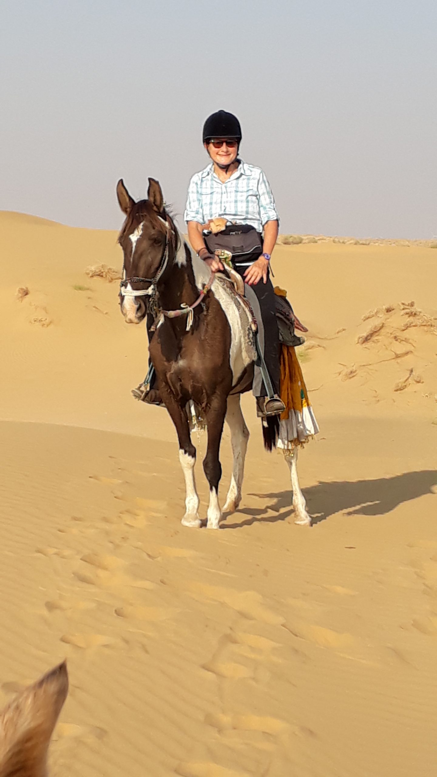 Reiten auf einem Sinti in der Wüste Thar