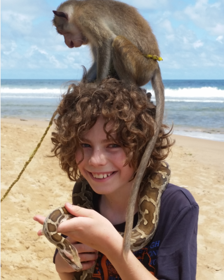 Exotische Tier auf Sri Lanka Reise mit Kindern entdecken