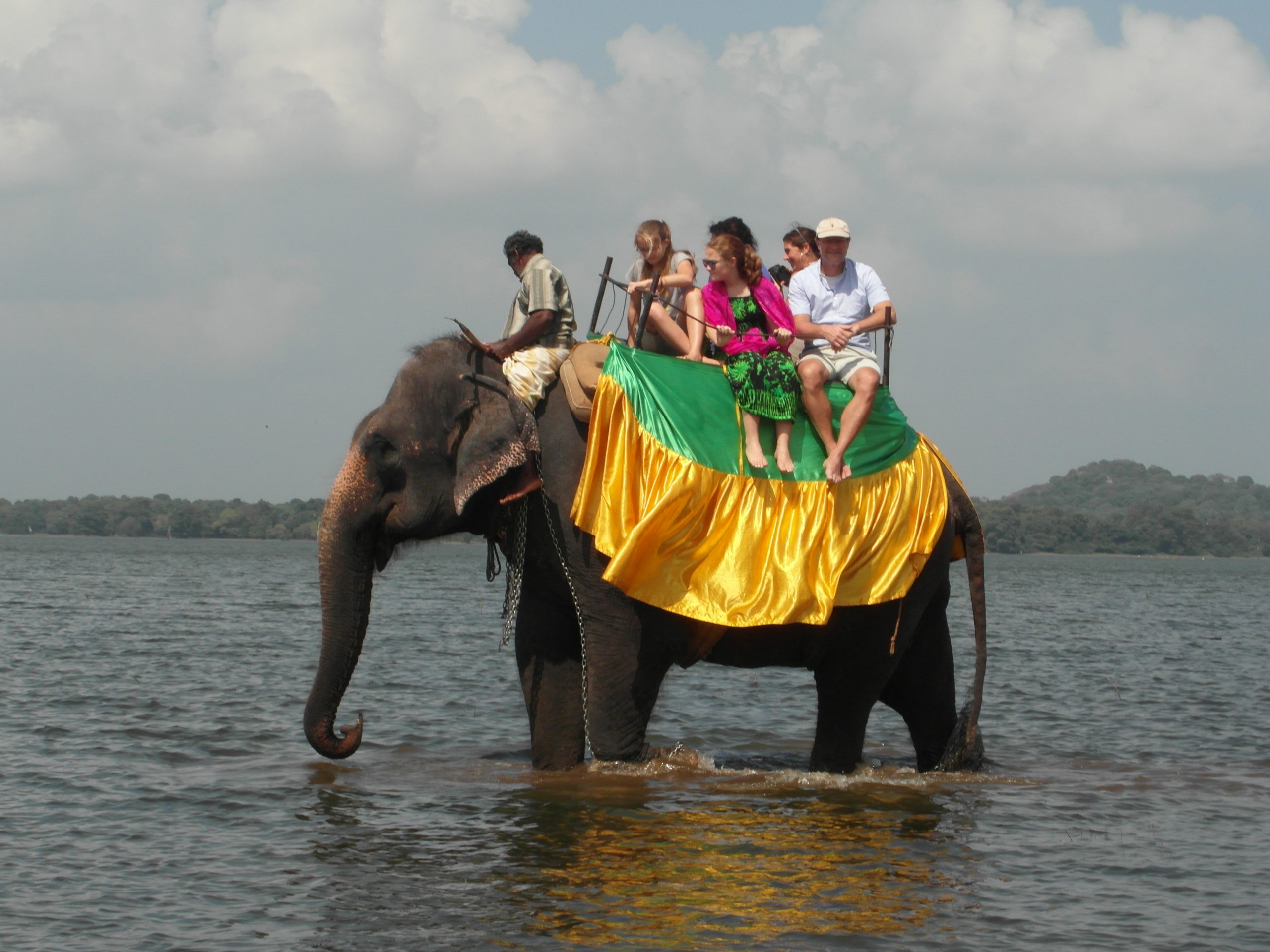 Ein Elefantenritt auf der Sri Lanka Tour mit Kindern