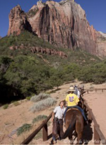 Zion Canyon rides - fotocredit hompage www.canyonrides.com