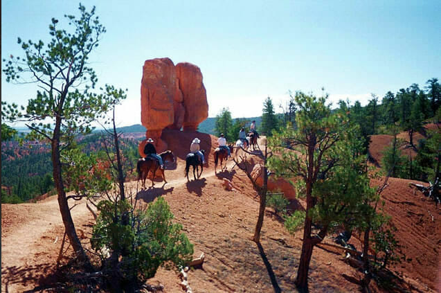 Red Canyon trail rides - foocredit from the homepage bookings@redcanyontrailrides.com